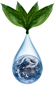 Plant growing from a water droplet